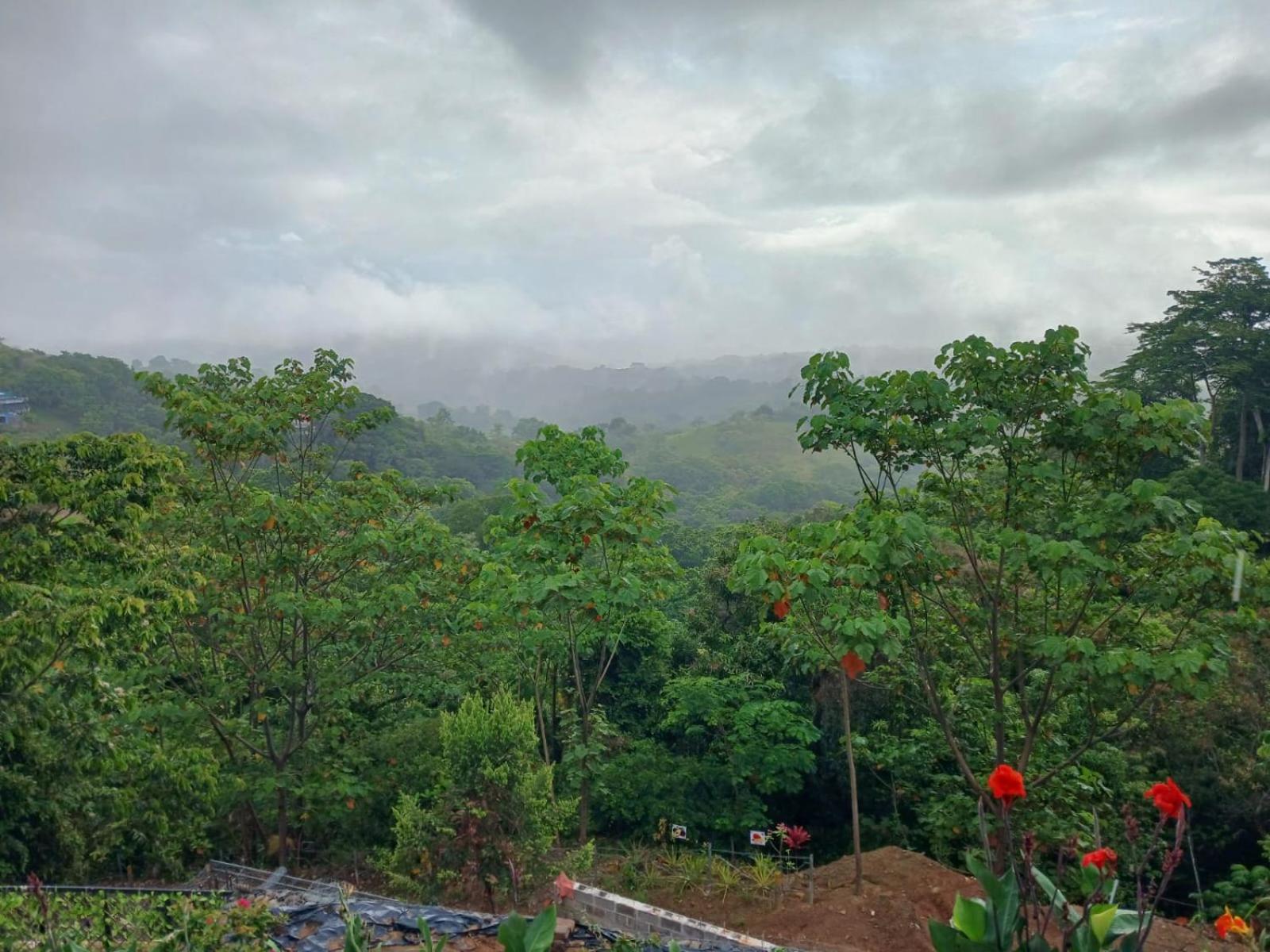Mountain Top Park Hotel Quepos Exterior foto